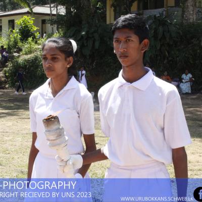 325453433 1934483693549666 7231270463340594371 N