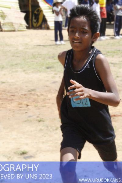 327369635 918407866003292 8015496821311098437 N