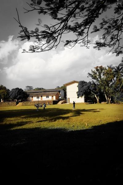 316170535 510176891128617 3137718088393548535 N